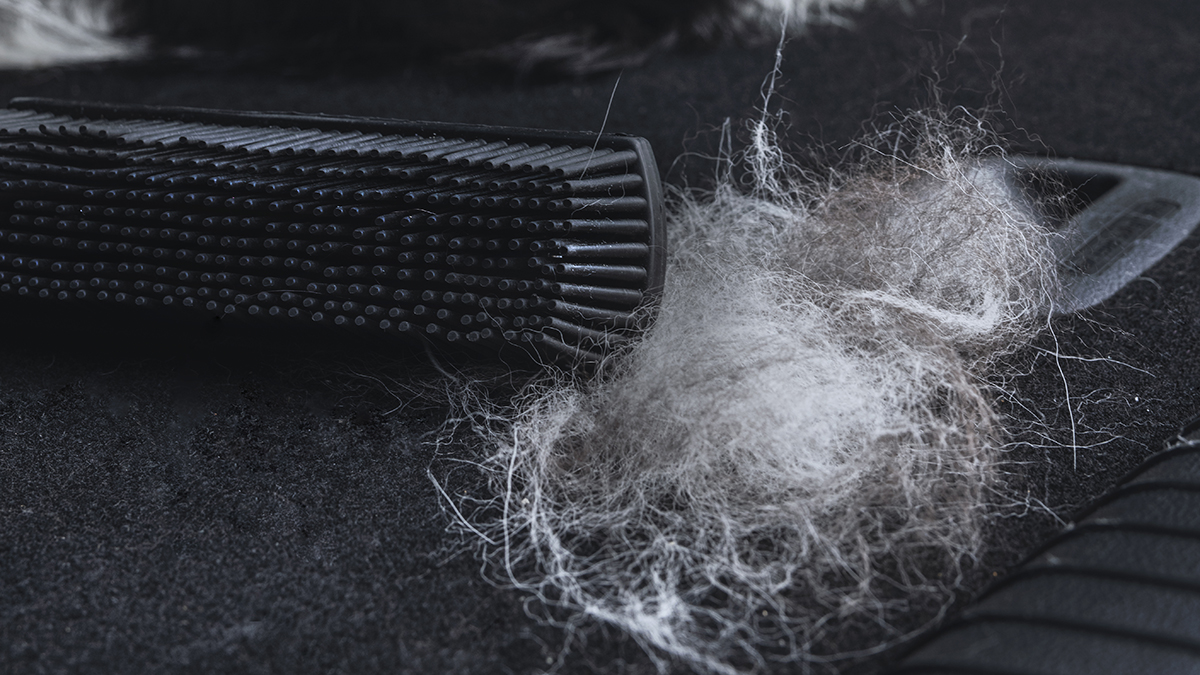 Uma escova preta especializada para recolher pelo de animais de estimação, junto a um monte de pelo acumulado sobre uma superfície escura, provavelmente de alcatifa ou estofos.