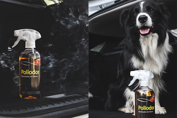 Sisbrill Poliodor eliminador de olores pulverizado en maletero de coche Kia blanco con perro de fondo y humo.